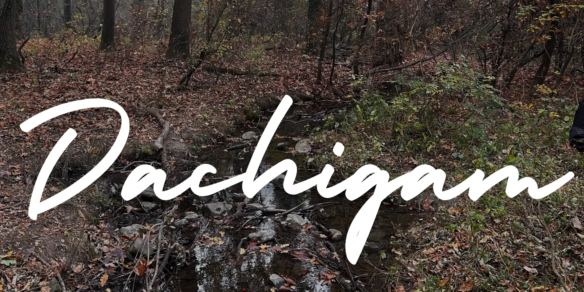 Dachigam National Park Wildfloc