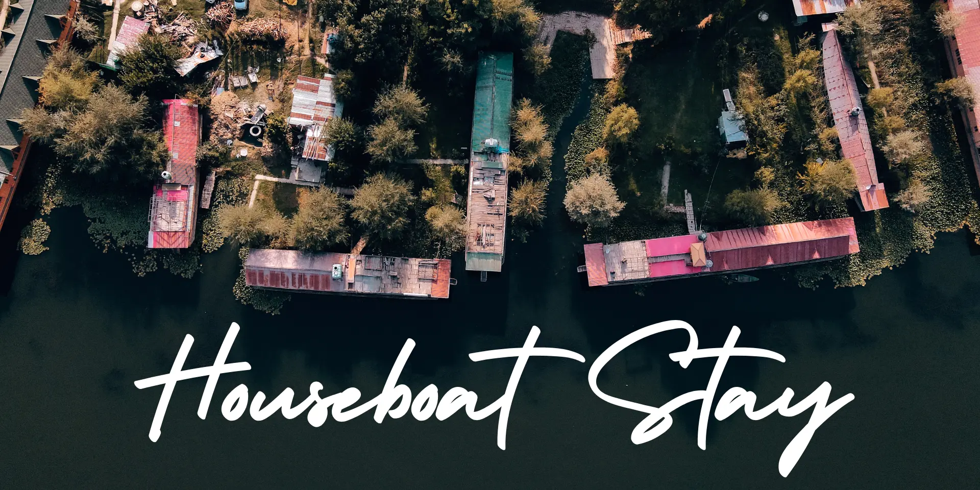 Things to do in Kashmir Wildfloc