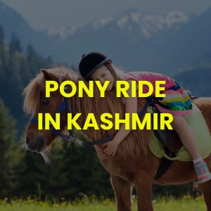 Pony Ride Wildfloc