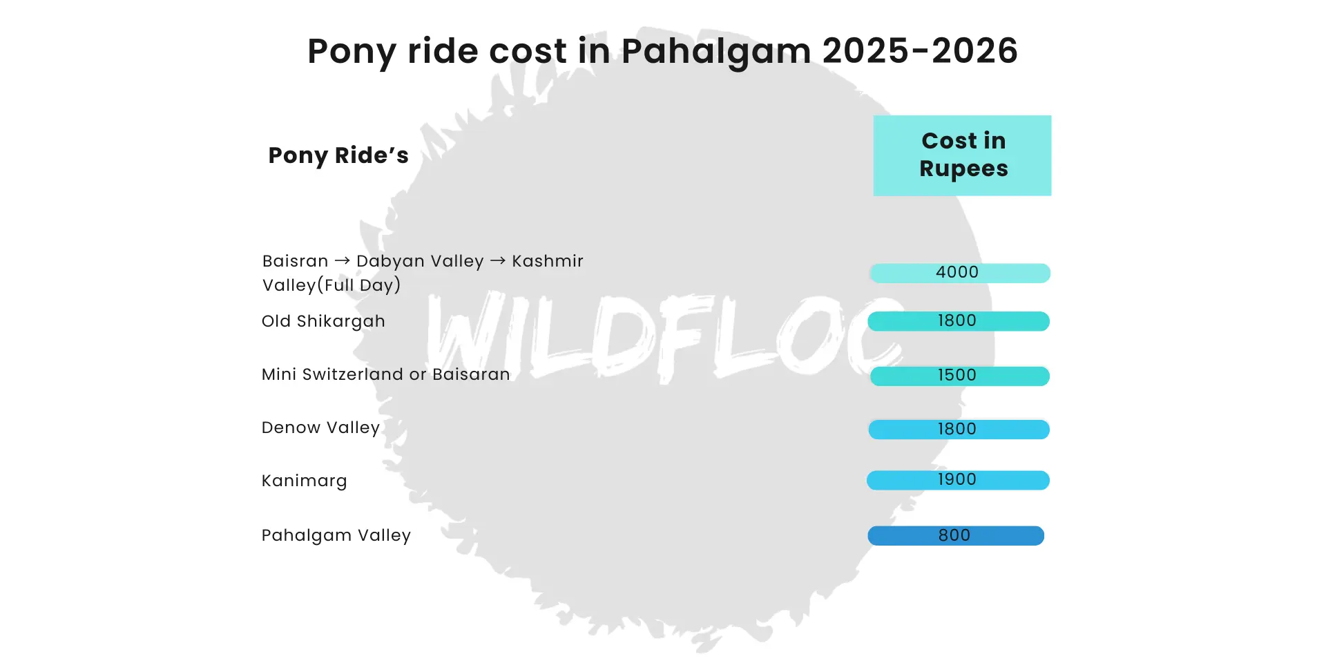 Pony Ride in Kashmir