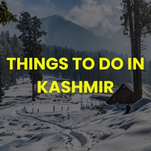 Things To Do in Kashmir Wildfloc