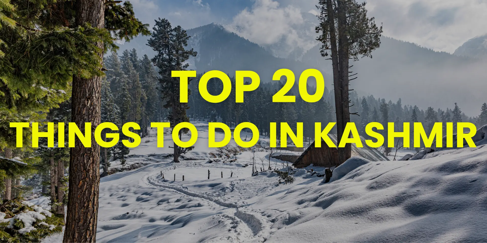 Things to do in Kashmir Wildfloc