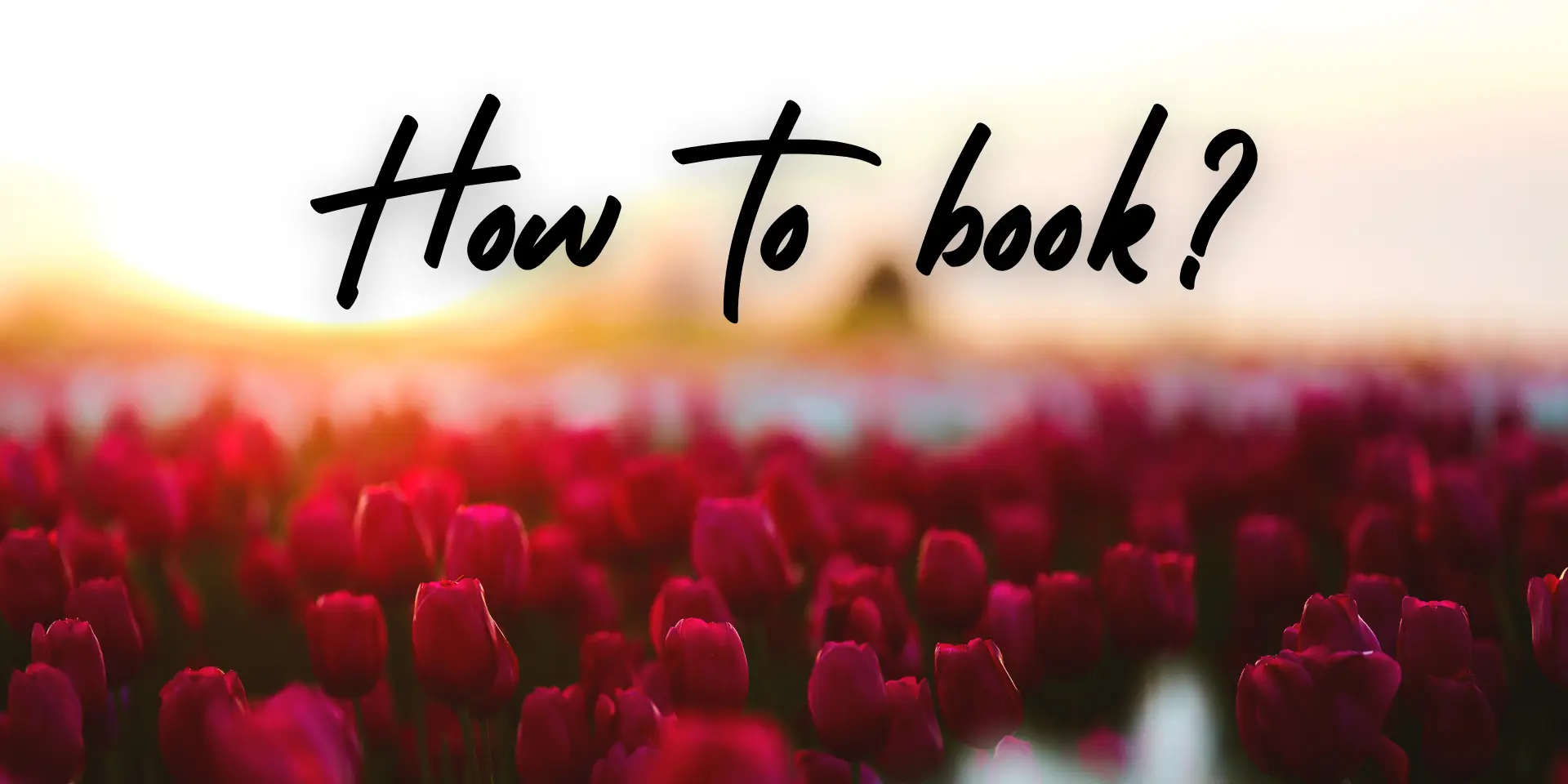 Tulip Garden Srinagar