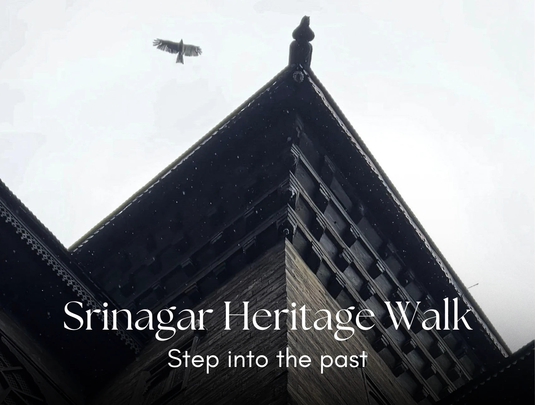 Heritage Walk Srinagar