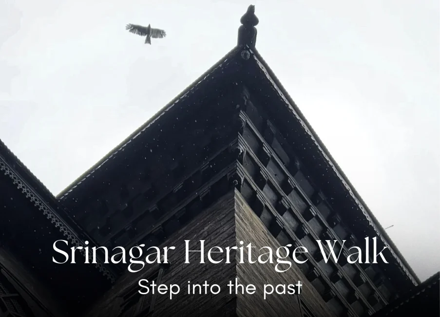 Heritage Walk Srinagar