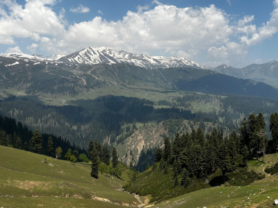 Wildfloc Chhanz Meadow